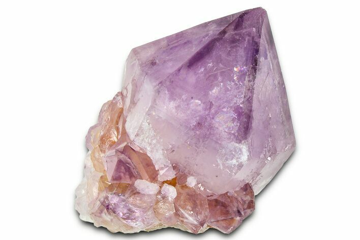 Cactus Quartz (Amethyst) Crystal - South Africa #371665